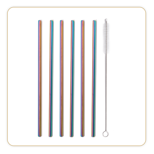 6 Stainless steel straws, Rainbow + pin - Ref 8454