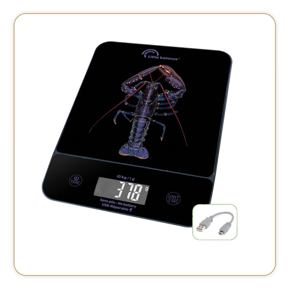 Kitchen scale, Happy Genius 10 Blue Lobster USB, without battery - Ref 8710