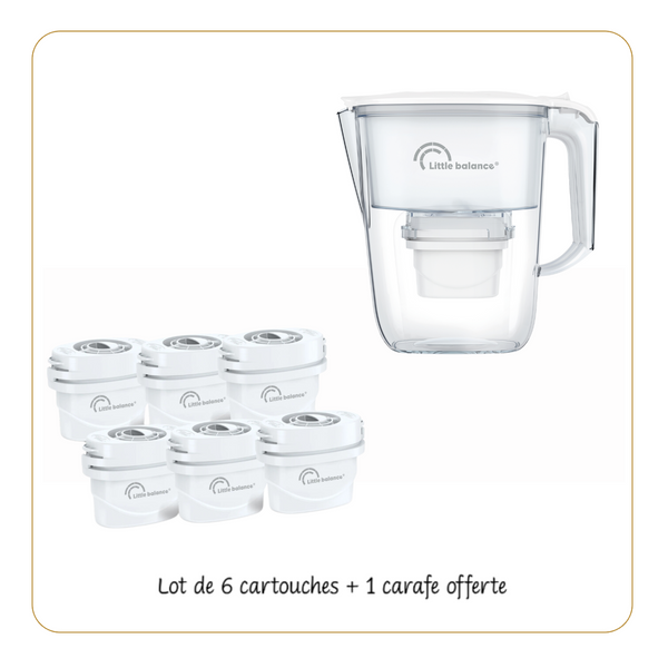 Cartouches filtrantes, Lot de 6 cartouches + 1 carafe offerte - Ref 8634